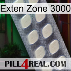 Exten Zone 3000 08